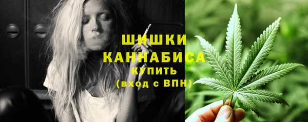 spice Вязьма