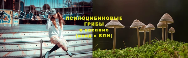 spice Вязьма
